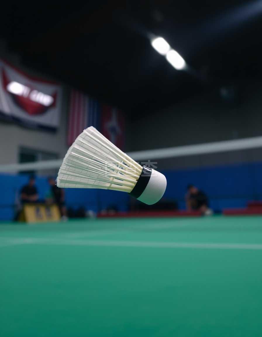 图斯带来了 图斯带来了