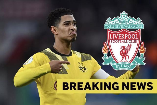 高敏感性 高敏感性