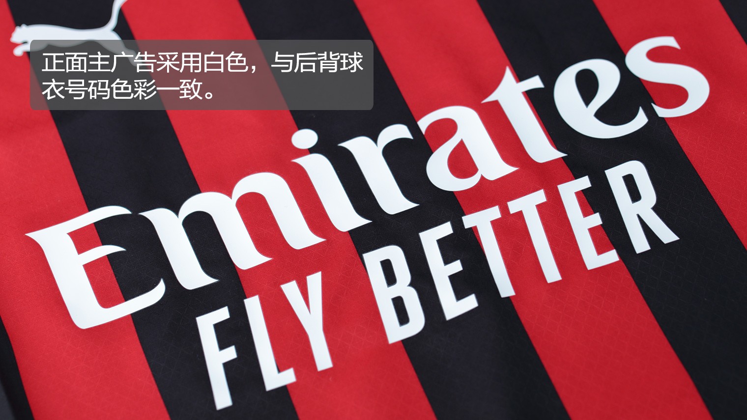 戴维斯配詹 戴维斯配詹